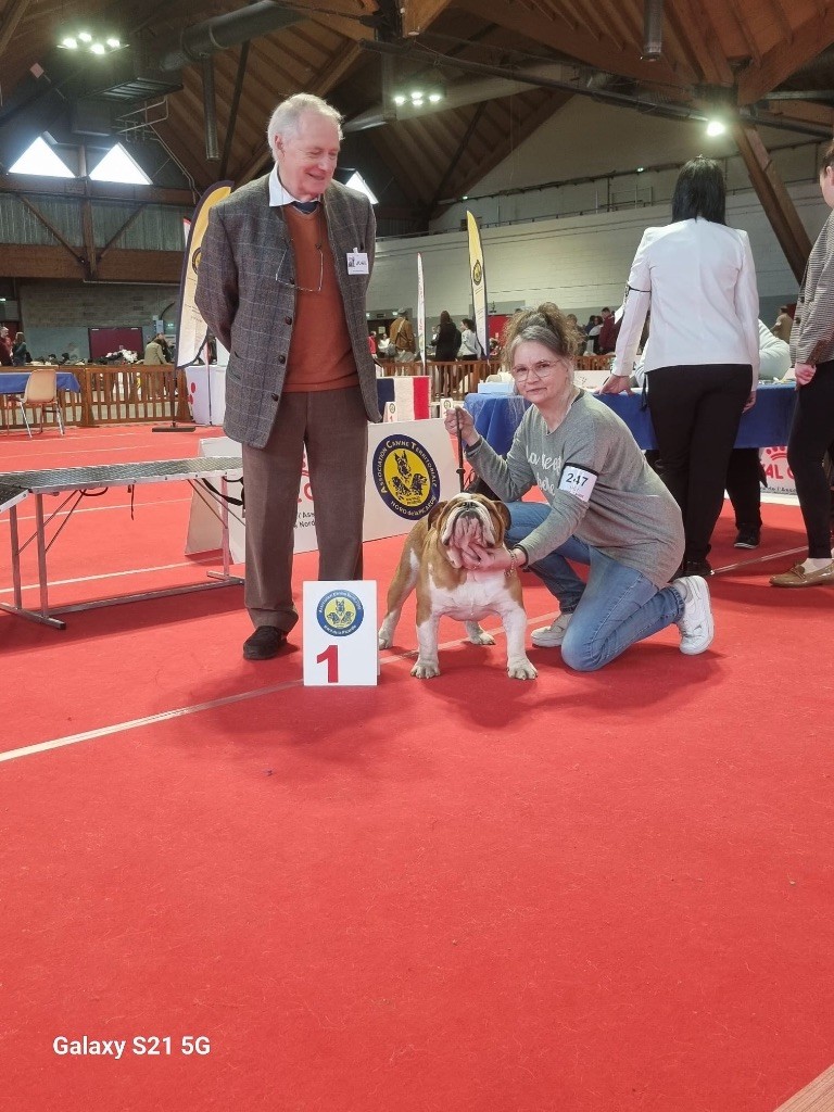 Du Manoir De Madone - Exposition canine Amiens février 2025